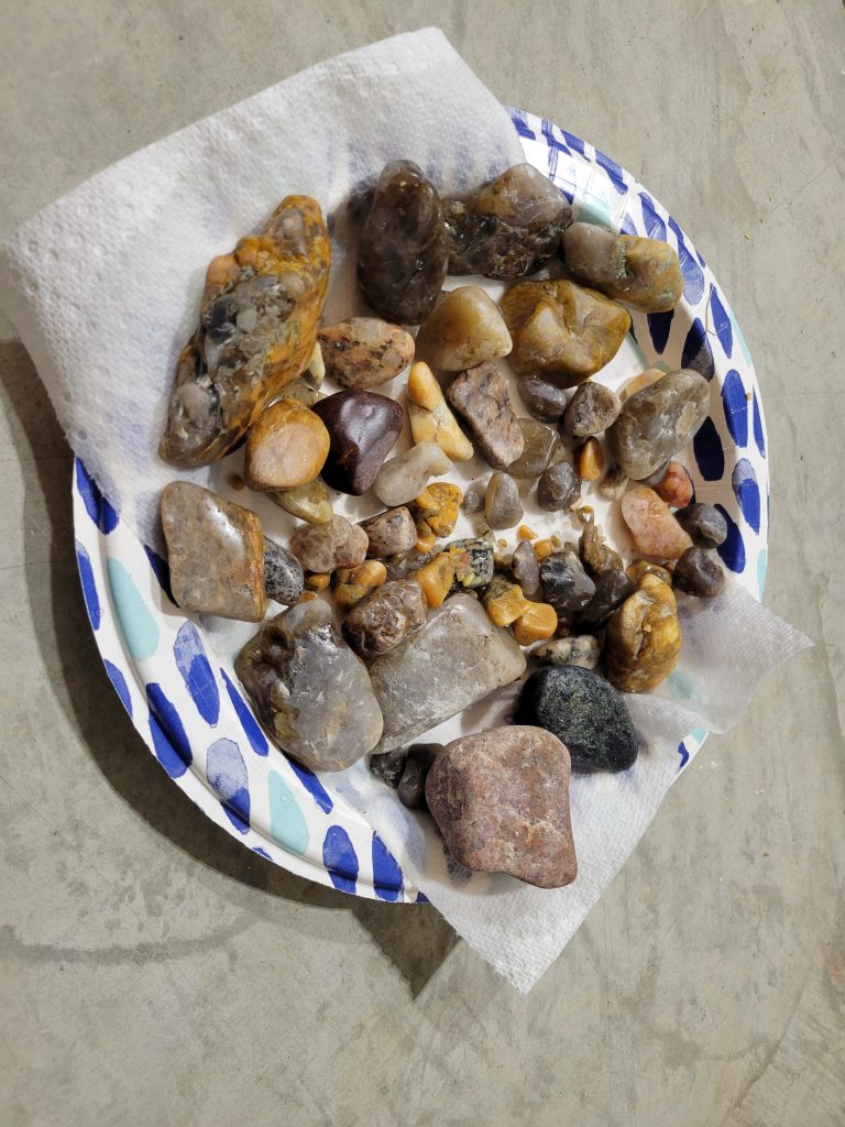 Partly polished rocks rinsed on a paper plate during the tumbling process.