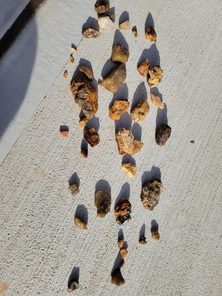 Rough yard rocks laid out on concrete before going into the tumbler.